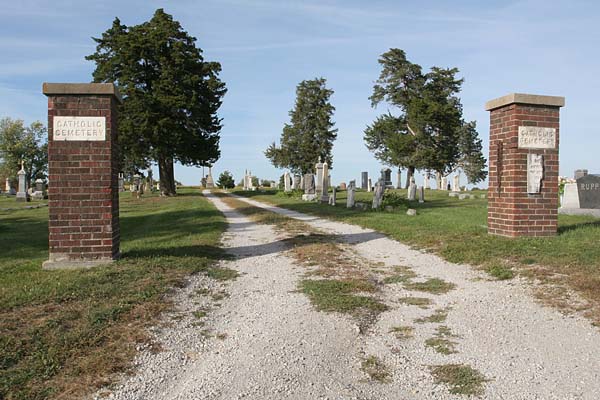 Click to View Full Size